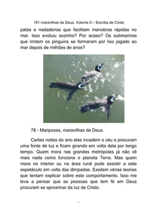 101 maravilhas de Deus, Volume II – Escriba de Cristo
patas e nadadeiras que facilitam manobras rápidas no
mar. Isso evoluiu sozinho? Por acaso? Os submarinos
que imitam os pinguins se formaram por lixo jogado ao
mar depois de milhões de anos?
78 - Mariposas, maravilhas de Deus.
Certas noites do ano elas invadem o céu e procuram
uma fonte de luz e ficam girando em volta dela por longo
tempo. Quem mora nas grandes metrópoles já não vê
mais nada como funciona o planeta Terra. Mas quem
mora no interior ou na área rural pode assistir a este
espetáculo em volta das lâmpadas. Existem várias teorias
que tentam explicar sobre este comportamento. Isso me
leva a pensar que as pessoas que tem fé em Deus
procuram se aproximar da luz de Cristo.
75
 