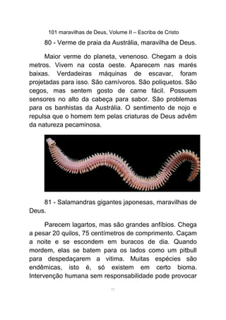 101 maravilhas de Deus, Volume II – Escriba de Cristo
80 - Verme de praia da Austrália, maravilha de Deus.
Maior verme do planeta, venenoso. Chegam a dois
metros. Vivem na costa oeste. Aparecem nas marés
baixas. Verdadeiras máquinas de escavar, foram
projetadas para isso. São carnívoros. São poliquetos. São
cegos, mas sentem gosto de carne fácil. Possuem
sensores no alto da cabeça para sabor. São problemas
para os banhistas da Austrália. O sentimento de nojo e
repulsa que o homem tem pelas criaturas de Deus advêm
da natureza pecaminosa.
81 - Salamandras gigantes japonesas, maravilhas de
Deus.
Parecem lagartos, mas são grandes anfíbios. Chega
a pesar 20 quilos, 75 centímetros de comprimento. Caçam
a noite e se escondem em buracos de dia. Quando
mordem, elas se batem para os lados como um pitbull
para despedaçarem a vitima. Muitas espécies são
endêmicas, isto é, só existem em certo bioma.
Intervenção humana sem responsabilidade pode provocar
77
 