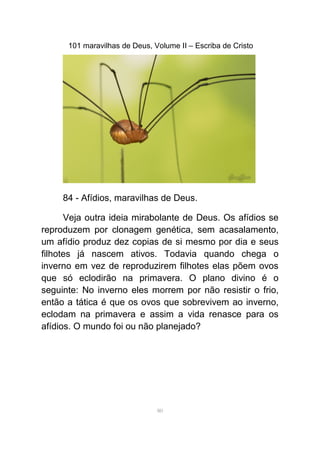 101 maravilhas de Deus, Volume II – Escriba de Cristo
84 - Afídios, maravilhas de Deus.
Veja outra ideia mirabolante de Deus. Os afídios se
reproduzem por clonagem genética, sem acasalamento,
um afídio produz dez copias de si mesmo por dia e seus
filhotes já nascem ativos. Todavia quando chega o
inverno em vez de reproduzirem filhotes elas põem ovos
que só eclodirão na primavera. O plano divino é o
seguinte: No inverno eles morrem por não resistir o frio,
então a tática é que os ovos que sobrevivem ao inverno,
eclodam na primavera e assim a vida renasce para os
afídios. O mundo foi ou não planejado?
80
 