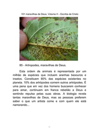 101 maravilhas de Deus, Volume II – Escriba de Cristo
85 - Artropodes, maravilhas de Deus.
Esta ordem de animais é representada por um
milhão de espécies que incluem aranhas besouros e
insetos. Constituem 80% das espécies existentes no
planeta. 10% dos artrópodes comem outros artrópodes. É
uma pena que em vez dos homens buscarem conhecer
para amar, continuam em franca rebelião a Deus e
sentindo repulsa pelas suas obras. A biologia revela
tantas maravilhas de Deus, mas as pessoas preferem
saber o que um artista come e com quem ele está
namorando...
81
 