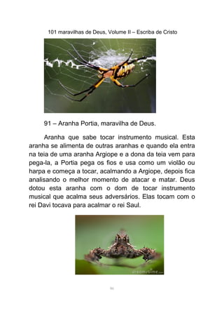 101 maravilhas de Deus, Volume II – Escriba de Cristo
91 – Aranha Portia, maravilha de Deus.
Aranha que sabe tocar instrumento musical. Esta
aranha se alimenta de outras aranhas e quando ela entra
na teia de uma aranha Argiope e a dona da teia vem para
pega-la, a Portia pega os fios e usa como um violão ou
harpa e começa a tocar, acalmando a Argiope, depois fica
analisando o melhor momento de atacar e matar. Deus
dotou esta aranha com o dom de tocar instrumento
musical que acalma seus adversários. Elas tocam com o
rei Davi tocava para acalmar o rei Saul.
86
 