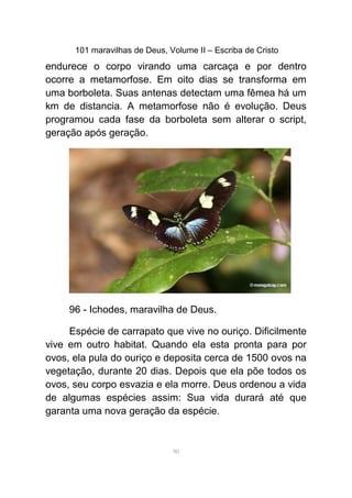 101 maravilhas de Deus, Volume II – Escriba de Cristo
endurece o corpo virando uma carcaça e por dentro
ocorre a metamorfose. Em oito dias se transforma em
uma borboleta. Suas antenas detectam uma fêmea há um
km de distancia. A metamorfose não é evolução. Deus
programou cada fase da borboleta sem alterar o script,
geração após geração.
96 - Ichodes, maravilha de Deus.
Espécie de carrapato que vive no ouriço. Dificilmente
vive em outro habitat. Quando ela esta pronta para por
ovos, ela pula do ouriço e deposita cerca de 1500 ovos na
vegetação, durante 20 dias. Depois que ela põe todos os
ovos, seu corpo esvazia e ela morre. Deus ordenou a vida
de algumas espécies assim: Sua vida durará até que
garanta uma nova geração da espécie.
90
 