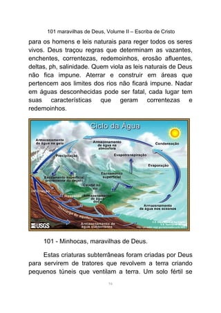101 maravilhas de Deus, Volume II – Escriba de Cristo
para os homens e leis naturais para reger todos os seres
vivos. Deus traçou regras que determinam as vazantes,
enchentes, correntezas, redemoinhos, erosão afluentes,
deltas, ph, salinidade. Quem viola as leis naturais de Deus
não fica impune. Aterrar e construir em áreas que
pertencem aos limites dos rios não ficará impune. Nadar
em águas desconhecidas pode ser fatal, cada lugar tem
suas características que geram correntezas e
redemoinhos.
101 - Minhocas, maravilhas de Deus.
Estas criaturas subterrâneas foram criadas por Deus
para servirem de tratores que revolvem a terra criando
pequenos túneis que ventilam a terra. Um solo fértil se
94
 