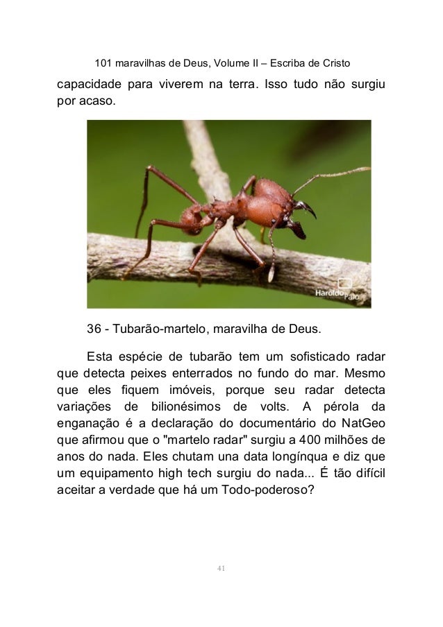 Tratamento de impotência Tomsk