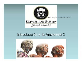 Introducción a la Anatomía 2Introducción a la Anatomía 2
Mtro. Sergio Eduardo Posada Arévalo
 