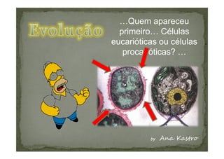 …Quem apareceu
  primeiro… Células
eucarióticas ou células
   procarióticas? …
 