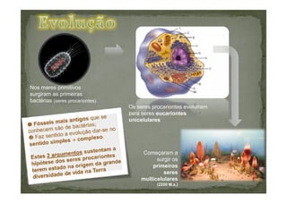 Nos mares primitivos
surgiram as primeiras
bactérias (seres procariontes)
                                 Os seres procariontes evoluíram
                                 para seres eucariontes
                                 unicelulares




                                     Começaram a
                                           surgir os
                                         primeiros
                                              seres
                                     multicelulares
                                            (2200 M.a.)
 