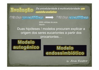 2000 milhões de anos
               depois…

 Duas hipóteses / modelos procuram explicar a
   origem dos seres eucariontes a partir dos
                procariontes…
  Modelo
autogénico                Modelo
                      endossimbiótico
 