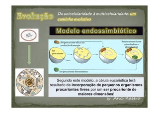 Modelo endossimbiótico




    Segundo este modelo, a célula eucariótica terá
resultado da incorporação de pequenos organismos
   procariontes livres por um ser procarionte de
                maiores dimensões!
 