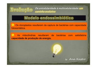 Modelo endossimbiótico
    Os cloroplastos resultaram da captura de bactérias com capacidade
fotossintética.


    As mitocôndrias resultaram de        bactérias   com   satisfatória
capacidade de produção de energia.
 