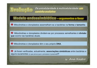 Modelo endossimbiótico                        – argumentos a favor

   Mitocôndrias e cloroplastos assemelham-se a bactérias na forma e tamanho.



   Mitocôndrias e cloroplastos dividem-se por processos semelhantes à divisão
que ocorre nas bactérias atuais.


   Mitocôndrias e cloroplastos têm o seu próprio DNA.


    Já foram verificadas, actualmente, associações simbóticas entre bactérias e
alguns eucariontes (o que prova que o processo é possível)!!!
 