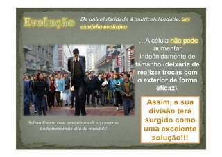 …A célula não pode
       aumentar
  indefinidamente de
tamanho (deixaria de
 realizar trocas com
 o exterior de forma
        eficaz).
 