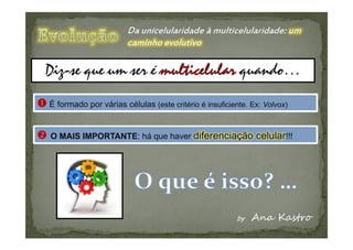 É formado por várias células (este critério é insuficiente. Ex: Volvox)


O MAIS IMPORTANTE: há que haver diferenciação celular!!!
 