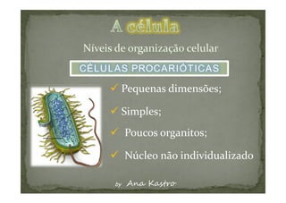 CÉLULAS PROCARIÓTICAS
 
