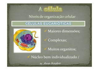 CÉLULAS EUCARIÓTICAS
 