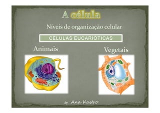 CÉLULAS EUCARIÓTICAS
 