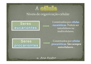 Seres
eucariontes


   Seres
procariontes
 