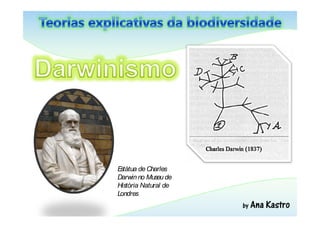 2 - Teorias evolucionistas Slide 28