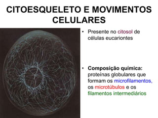 CITOESQUELETO E MOVIMENTOS
CELULARES
• Presente no citosol de
células eucariontes

• Composição química:
proteínas globulares que
formam os microfilamentos,
os microtúbulos e os
filamentos intermediários

 
