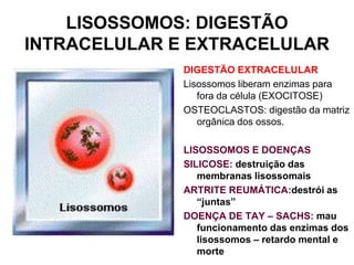 LISOSSOMOS: DIGESTÃO
INTRACELULAR E EXTRACELULAR
DIGESTÃO EXTRACELULAR
Lisossomos liberam enzimas para
fora da célula (EXOCITOSE)
OSTEOCLASTOS: digestão da matriz
orgânica dos ossos.

LISOSSOMOS E DOENÇAS
SILICOSE: destruição das
membranas lisossomais
ARTRITE REUMÁTICA:destrói as
“juntas”
DOENÇA DE TAY – SACHS: mau
funcionamento das enzimas dos
lisossomos – retardo mental e
morte

 