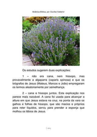 Botânica Bíblica, por: Escriba Valdemir
Os estudos sugerem duas explicações:
1 – não era cana, nem hissopo, mas
provavelmente a algaparra (caparis spinosa) e que os
biógrafos de Jesus (Mateus, Marcos e João) empregaram
os termos aleatoriamente por semelhança.
2 – cana e hissopo juntos. Esta explicação nos
parece mais razoável. A cana foi usada para alcançar a
altura em que Jesus estava na cruz, na ponta da vara os
galhos e folhas de hissopo, que são macios e próprios
para reter líquidos, serviu para prender a esponja que
molhou os lábios de Jesus.
[ 109 ]
 