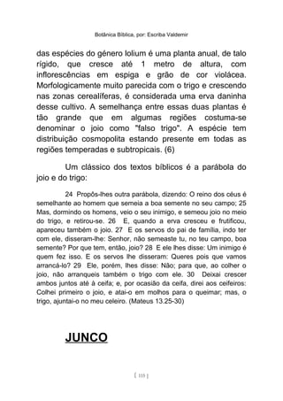 Botânica Bíblica, por: Escriba Valdemir
das espécies do género lolium é uma planta anual, de talo
rígido, que cresce até 1 metro de altura, com
inflorescências em espiga e grão de cor violácea.
Morfologicamente muito parecida com o trigo e crescendo
nas zonas cerealíferas, é considerada uma erva daninha
desse cultivo. A semelhança entre essas duas plantas é
tão grande que em algumas regiões costuma-se
denominar o joio como "falso trigo". A espécie tem
distribuição cosmopolita estando presente em todas as
regiões temperadas e subtropicais. (6)
Um clássico dos textos bíblicos é a parábola do
joio e do trigo:
24 Propôs-lhes outra parábola, dizendo: O reino dos céus é
semelhante ao homem que semeia a boa semente no seu campo; 25
Mas, dormindo os homens, veio o seu inimigo, e semeou joio no meio
do trigo, e retirou-se. 26 E, quando a erva cresceu e frutificou,
apareceu também o joio. 27 E os servos do pai de família, indo ter
com ele, disseram-lhe: Senhor, não semeaste tu, no teu campo, boa
semente? Por que tem, então, joio? 28 E ele lhes disse: Um inimigo é
quem fez isso. E os servos lhe disseram: Queres pois que vamos
arrancá-lo? 29 Ele, porém, lhes disse: Não; para que, ao colher o
joio, não arranqueis também o trigo com ele. 30 Deixai crescer
ambos juntos até à ceifa; e, por ocasião da ceifa, direi aos ceifeiros:
Colhei primeiro o joio, e atai-o em molhos para o queimar; mas, o
trigo, ajuntai-o no meu celeiro. (Mateus 13.25-30)
JUNCO
[ 115 ]
 