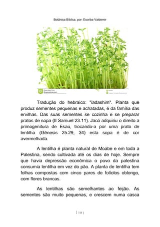 Botânica Bíblica, por: Escriba Valdemir
Tradução do hebraico: "iadashim". Planta que
produz sementes pequenas e achatadas, é da família das
ervilhas. Das suas sementes se cozinha e se preparar
pratos de sopa (II Samuel 23.11). Jacó adquiriu o direito a
primogenitura de Esaú, trocando-a por uma prato de
lentilha (Gênesis 25.29, 34) esta sopa é de cor
avermelhada.
A lentilha é planta natural de Moabe e em toda a
Palestina, sendo cultivada até os dias de hoje. Sempre
que havia depressão econômica o povo da palestina
consumia lentilha em vez do pão. A planta de lentilha tem
folhas compostas com cinco pares de folíolos oblongo,
com flores brancas.
As lentilhas são semelhantes ao feijão. As
sementes são muito pequenas, e crescem numa casca
[ 118 ]
 