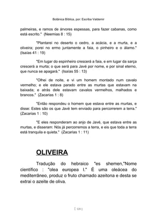 Botânica Bíblica, por: Escriba Valdemir
palmeiras, e ramos de árvores espessas, para fazer cabanas, como
está escrito." (Neemias 8 : 15)
"Plantarei no deserto o cedro, a acácia, e a murta, e a
oliveira; porei no ermo juntamente a faia, o pinheiro e o álamo."
(Isaías 41 : 19)
"Em lugar do espinheiro crescerá a faia, e em lugar da sarça
crescerá a murta; o que será para Javé por nome, e por sinal eterno,
que nunca se apagará." (Isaías 55 : 13)
"Olhei de noite, e vi um homem montado num cavalo
vermelho; e ele estava parado entre as murtas que estavam na
baixada; e atrás dele estavam cavalos vermelhos, malhados e
brancos." (Zacarias 1 : 8)
"Então respondeu o homem que estava entre as murtas, e
disse: Estes são os que Javé tem enviado para percorrerem a terra."
(Zacarias 1 : 10)
"E eles responderam ao anjo de Javé, que estava entre as
murtas, e disseram: Nós já percorremos a terra, e eis que toda a terra
está tranquila e quieta." (Zacarias 1 : 11)
OLIVEIRA
Tradução do hebraico "es shemen,"Nome
científico : "olea europea l." É uma oleácea do
mediterrâneo, produz o fruto chamado azeitona e desta se
extrai o azeite de oliva.
[ 128 ]
 