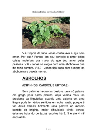 Botânica Bíblica, por: Escriba Valdemir
V.4 Depois de tudo Jonas continuava a agir sem
amor. Por que? Porque em seu coração o amor pelas
coisas materiais era maior do que seu amor pelas
pessoas. V.6 - Jonas se alegra com uma aboboreira que
lhe fazia sombra. V.8,9 - Jonas fica irado com a morte da
aboboreira e deseja morrer.
ABROLHOS
(ESPINHOS, CARDOS, E URTIGAS)
Seis palavras hebraicas designa uma só palavra
em grego para estas plantas. Aqui vemos mais um
problema da linguística, quando uma palavra em uma
língua pode ter vários sentidos em outra, razão porque é
tão difícil traduzir fielmente uma palavra no mesmo
sentido do original, maior dificuldade ainda porque
estamos tratando de textos escritos há 2, 3 e ate 4 mil
anos atrás.
[ 13 ]
 