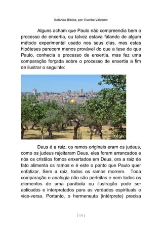 Botânica Bíblica, por: Escriba Valdemir
Alguns acham que Paulo não compreendia bem o
processo de enxertia, ou talvez estava falando de algum
método experimental usado nos seus dias, mas estas
hipóteses parecem menos provável do que a tese de que
Paulo, conhecia o processo de enxertia, mas fez uma
comparação forçada sobre o processo de enxertia a fim
de ilustrar o seguinte:
Deus é a raiz, os ramos originais eram os judeus,
como os judeus rejeitaram Deus, eles foram arrancados e
nós os cristãos fomos enxertados em Deus, ora a raiz de
fato alimenta os ramos e é este o ponto que Paulo quer
enfatizar. Sem a raiz, todos os ramos morrem. Toda
comparação e analogia não são perfeitas e nem todos os
elementos de uma parábola ou ilustração pode ser
aplicados e interpretados para as verdades espirituais e
vice-versa. Portanto, o hermeneuta (intérprete) precisa
[ 131 ]
 