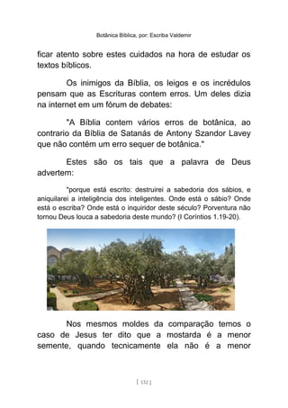 Botânica Bíblica, por: Escriba Valdemir
ficar atento sobre estes cuidados na hora de estudar os
textos bíblicos.
Os inimigos da Bíblia, os leigos e os incrédulos
pensam que as Escrituras contem erros. Um deles dizia
na internet em um fórum de debates:
"A Bíblia contem vários erros de botânica, ao
contrario da Bíblia de Satanás de Antony Szandor Lavey
que não contém um erro sequer de botânica."
Estes são os tais que a palavra de Deus
advertem:
"porque está escrito: destruirei a sabedoria dos sábios, e
aniquilarei a inteligência dos inteligentes. Onde está o sábio? Onde
está o escriba? Onde está o inquiridor deste século? Porventura não
tornou Deus louca a sabedoria deste mundo? (I Coríntios 1.19-20).
Nos mesmos moldes da comparação temos o
caso de Jesus ter dito que a mostarda é a menor
semente, quando tecnicamente ela não é a menor
[ 132 ]
 