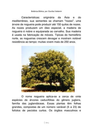 Botânica Bíblica, por: Escriba Valdemir
Características: originária da Ásia e do
mediterrâneo, sua sementes se chamam "nozes", uma
árvore de nogueira pode produzir até 150 quilos de nozes.
As nozes produzem um óleo especial, a madeira de
nogueira é nobre e equiparada ao carvalho. Sua madeira
é usada na fabricação de móveis. Típicas do hemisfério
norte, as nogueiras crescem devagar e mostram notável
resistência ao tempo: muitas vivem mais de 250 anos.
O nome nogueira aplica-se a cerca de vinte
espécies de árvores caducifólias do gênero juglans,
família das juglandáceas. Essas plantas têm folhas
grandes, compostas de um número variável (5 a 23) de
folíolos de pecíolos curtos. Os órgãos masculinos e
[ 136 ]
 