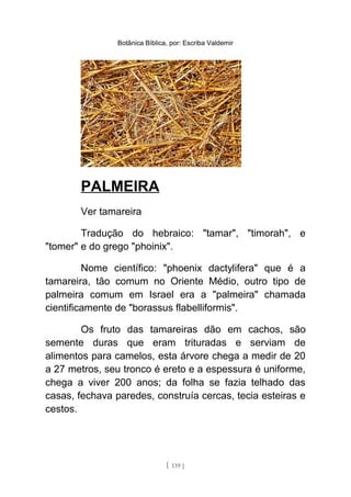 Botânica Bíblica, por: Escriba Valdemir
PALMEIRA
Ver tamareira
Tradução do hebraico: "tamar", "timorah", e
"tomer" e do grego "phoinix".
Nome científico: "phoenix dactylifera" que é a
tamareira, tão comum no Oriente Médio, outro tipo de
palmeira comum em Israel era a "palmeira" chamada
cientificamente de "borassus flabelliformis".
Os fruto das tamareiras dão em cachos, são
semente duras que eram trituradas e serviam de
alimentos para camelos, esta árvore chega a medir de 20
a 27 metros, seu tronco é ereto e a espessura é uniforme,
chega a viver 200 anos; da folha se fazia telhado das
casas, fechava paredes, construía cercas, tecia esteiras e
cestos.
[ 139 ]
 