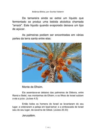 Botânica Bíblica, por: Escriba Valdemir
Da tamareira ainda se extrai um líquido que
fermentado se produz uma bebida alcóolica chamada
"arrack". Este líquido quando evaporado deixava um tipo
de açúcar.
As palmeiras podiam ser encontradas em várias
partes da terra santa entre elas:
Monte de Efraim.
Ela assentava-se debaixo das palmeiras de Débora, entre
Ramá e Betel, nas montanhas de Efraim; e os filhos de Israel subiam
a ela a juízo. (Juízes 4.5)
Então todos os homens de Israel se levantaram do seu
lugar, e ordenaram a peleja em baal-tamar; e a emboscada de Israel
saiu do seu lugar, da caverna de Gibeá. (Juízes 20.33)
Jerusalém.
[ 140 ]
 
