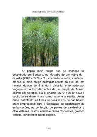Botânica Bíblica, por: Escriba Valdemir
O papiro mais antigo que se conhece foi
encontrado em Saqqara, na Mastaba de um nobre da I
dinastia (2920 a 2770 a.C.), chamado hemaka, e está em
branco. O mais antigo exemplar escrito do qual se tem
notícia, datado do final da I dinastia, é formado por
fragmentos do livro de contas de um templo de Abusir,
escrito em hierático. Na II dinastia (2770 a 2649 a.C.) o
papiro já se disseminara como suporte à escrita. Antes
disso, entretanto, as fibras de suas raízes ou das hastes
eram empregadas para a fabricação ou calafetagem de
embarcações, na confecção de pavios de candeeiros a
óleo, esteiras, cestos, cordas e cabos resistentes, grossos
tecidos, sandálias e outros objetos.
[ 143 ]
 
