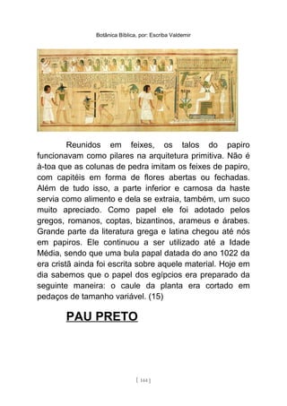 Botânica Bíblica, por: Escriba Valdemir
Reunidos em feixes, os talos do papiro
funcionavam como pilares na arquitetura primitiva. Não é
à-toa que as colunas de pedra imitam os feixes de papiro,
com capitéis em forma de flores abertas ou fechadas.
Além de tudo isso, a parte inferior e carnosa da haste
servia como alimento e dela se extraia, também, um suco
muito apreciado. Como papel ele foi adotado pelos
gregos, romanos, coptas, bizantinos, arameus e árabes.
Grande parte da literatura grega e latina chegou até nós
em papiros. Ele continuou a ser utilizado até a Idade
Média, sendo que uma bula papal datada do ano 1022 da
era cristã ainda foi escrita sobre aquele material. Hoje em
dia sabemos que o papel dos egípcios era preparado da
seguinte maneira: o caule da planta era cortado em
pedaços de tamanho variável. (15)
PAU PRETO
[ 144 ]
 