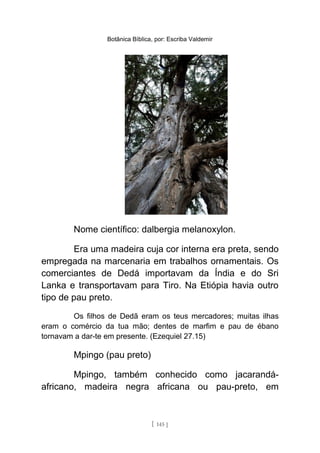 Botânica Bíblica, por: Escriba Valdemir
Nome científico: dalbergia melanoxylon.
Era uma madeira cuja cor interna era preta, sendo
empregada na marcenaria em trabalhos ornamentais. Os
comerciantes de Dedá importavam da Índia e do Sri
Lanka e transportavam para Tiro. Na Etiópia havia outro
tipo de pau preto.
Os filhos de Dedã eram os teus mercadores; muitas ilhas
eram o comércio da tua mão; dentes de marfim e pau de ébano
tornavam a dar-te em presente. (Ezequiel 27.15)
Mpingo (pau preto)
Mpingo, também conhecido como jacarandá-
africano, madeira negra africana ou pau-preto, em
[ 145 ]
 