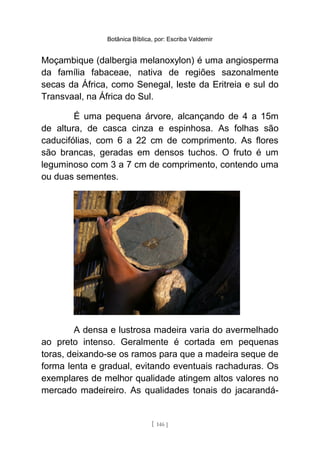 Botânica Bíblica, por: Escriba Valdemir
Moçambique (dalbergia melanoxylon) é uma angiosperma
da família fabaceae, nativa de regiões sazonalmente
secas da África, como Senegal, leste da Eritreia e sul do
Transvaal, na África do Sul.
É uma pequena árvore, alcançando de 4 a 15m
de altura, de casca cinza e espinhosa. As folhas são
caducifólias, com 6 a 22 cm de comprimento. As flores
são brancas, geradas em densos tuchos. O fruto é um
leguminoso com 3 a 7 cm de comprimento, contendo uma
ou duas sementes.
A densa e lustrosa madeira varia do avermelhado
ao preto intenso. Geralmente é cortada em pequenas
toras, deixando-se os ramos para que a madeira seque de
forma lenta e gradual, evitando eventuais rachaduras. Os
exemplares de melhor qualidade atingem altos valores no
mercado madeireiro. As qualidades tonais do jacarandá-
[ 146 ]
 