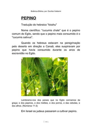 Botânica Bíblica, por: Escriba Valdemir
PEPINO
Tradução do hebraico "kisshu"
Nome científico: "cucumis chate" que é o pepino
comum do Egito, sendo que o pepino mais consumido é o
"cucumis sativus".
Quando os hebreus estavam na peregrinação
pelo deserto em direção a Canaã, eles suspiravam por
pepino que havia consumido durante os anos de
escravidão no Egito.
Lembramo-nos dos peixes que no Egito comíamos de
graça; e dos pepinos, e dos melões, e dos porros, e das cebolas, e
dos alhos. (Números 11.5)
Em Israel os judeus passaram a cultivar pepino.
[ 148 ]
 