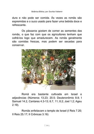 Botânica Bíblica, por: Escriba Valdemir
dura e não pode ser comida. Às vezes as romãs são
espremidas e o suco usado para fazer uma bebida doce e
refrescante.
Os pássaros gostam de comer as sementes das
romãs, o que faz com que os agricultores tenham que
colhê-los logo que amadurecem. As romãs geralmente
são comidas frescas, mas podem ser secadas para
conservar.
Romã era bastante cultivada em Israel e
adjacências (Números 13.23; 20.5; Deuteronômio 8.8; I
Samuel 14.2, Cantares 4.3-13; 6.7, 11; 8.2; Joel 1.2; Ageu
2.19).
Romãs enfeitavam o templo de Israel (I Reis 7.20;
II Reis 25.17; II Crônicas 3.16)
[ 150 ]
 