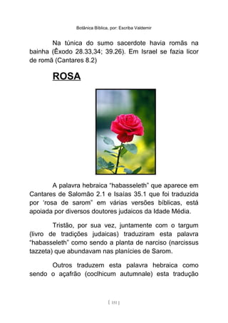 Botânica Bíblica, por: Escriba Valdemir
Na túnica do sumo sacerdote havia romãs na
bainha (Êxodo 28.33,34; 39.26). Em Israel se fazia licor
de romã (Cantares 8.2)
ROSA
A palavra hebraica “habasseleth” que aparece em
Cantares de Salomão 2.1 e Isaías 35.1 que foi traduzida
por ‘rosa de sarom” em várias versões bíblicas, está
apoiada por diversos doutores judaicos da Idade Média.
Tristão, por sua vez, juntamente com o targum
(livro de tradições judaicas) traduziram esta palavra
“habasseleth” como sendo a planta de narciso (narcissus
tazzeta) que abundavam nas planícies de Sarom.
Outros traduzem esta palavra hebraica como
sendo o açafrão (coclhicum autumnale) esta tradução
[ 151 ]
 