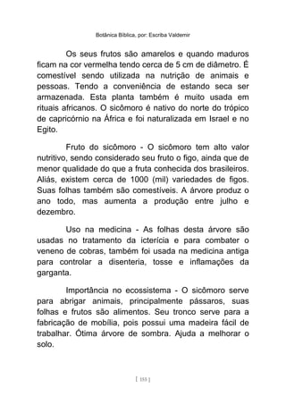 Botânica Bíblica, por: Escriba Valdemir
Os seus frutos são amarelos e quando maduros
ficam na cor vermelha tendo cerca de 5 cm de diâmetro. É
comestível sendo utilizada na nutrição de animais e
pessoas. Tendo a conveniência de estando seca ser
armazenada. Esta planta também é muito usada em
rituais africanos. O sicômoro é nativo do norte do trópico
de capricórnio na África e foi naturalizada em Israel e no
Egito.
Fruto do sicômoro - O sicômoro tem alto valor
nutritivo, sendo considerado seu fruto o figo, ainda que de
menor qualidade do que a fruta conhecida dos brasileiros.
Aliás, existem cerca de 1000 (mil) variedades de figos.
Suas folhas também são comestíveis. A árvore produz o
ano todo, mas aumenta a produção entre julho e
dezembro.
Uso na medicina - As folhas desta árvore são
usadas no tratamento da icterícia e para combater o
veneno de cobras, também foi usada na medicina antiga
para controlar a disenteria, tosse e inflamações da
garganta.
Importância no ecossistema - O sicômoro serve
para abrigar animais, principalmente pássaros, suas
folhas e frutos são alimentos. Seu tronco serve para a
fabricação de mobília, pois possui uma madeira fácil de
trabalhar. Ótima árvore de sombra. Ajuda a melhorar o
solo.
[ 155 ]
 
