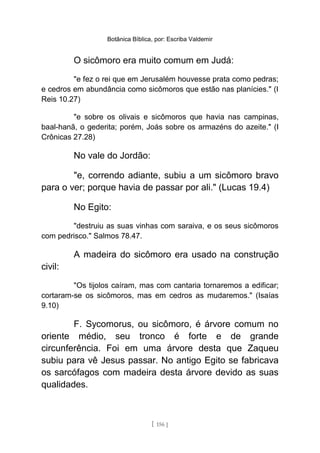 Botânica Bíblica, por: Escriba Valdemir
O sicômoro era muito comum em Judá:
"e fez o rei que em Jerusalém houvesse prata como pedras;
e cedros em abundância como sicômoros que estão nas planícies." (I
Reis 10.27)
"e sobre os olivais e sicômoros que havia nas campinas,
baal-hanã, o gederita; porém, Joás sobre os armazéns do azeite." (I
Crônicas 27.28)
No vale do Jordão:
"e, correndo adiante, subiu a um sicômoro bravo
para o ver; porque havia de passar por ali." (Lucas 19.4)
No Egito:
"destruiu as suas vinhas com saraiva, e os seus sicômoros
com pedrisco." Salmos 78.47.
A madeira do sicômoro era usado na construção
civil:
"Os tijolos caíram, mas com cantaria tornaremos a edificar;
cortaram-se os sicômoros, mas em cedros as mudaremos." (Isaías
9.10)
F. Sycomorus, ou sicômoro, é árvore comum no
oriente médio, seu tronco é forte e de grande
circunferência. Foi em uma árvore desta que Zaqueu
subiu para vê Jesus passar. No antigo Egito se fabricava
os sarcófagos com madeira desta árvore devido as suas
qualidades.
[ 156 ]
 