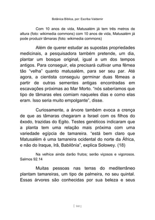 Botânica Bíblica, por: Escriba Valdemir
Com 10 anos de vida, Matusalém já tem três metros de
altura (foto: wikimedia commons) com 10 anos de vida, Matusalém já
pode produzir tâmaras (foto: wikimedia commons)
Além de querer estudar as supostas propriedades
medicinais, a pesquisadora também pretende, um dia,
plantar um bosque original, igual a um dos tempos
antigos. Para conseguir, ela precisará cultivar uma fêmea
tão “velha” quanto matusalém, para ser seu par. Até
agora, a cientista conseguiu germinar duas fêmeas a
partir de outras sementes antigas encontradas em
escavações próximas ao Mar Morto. “nós saberíamos que
tipo de tâmaras eles comiam naqueles dias e como elas
eram. Isso seria muito empolgante”, disse.
Curiosamente, a árvore também evoca a crença
de que as tâmaras chegaram a Israel com os filhos do
êxodo, trazidas do Egito. Testes genéticos indicaram que
a planta tem uma relação mais próxima com uma
variedade egípcia de tamareira. “está bem claro que
Matusalém é uma tamareira ocidental do norte da África,
e não do Iraque, Irã, Babilônia”, explica Solowey. (18)
Na velhice ainda darão frutos; serão viçosos e vigorosos.
Salmos 92.14
Muitas pessoas nas terras do mediterrâneo
plantam tamareiras, um tipo de palmeira, no seu quintal.
Essas árvores são conhecidas por sua beleza e seus
[ 160 ]
 