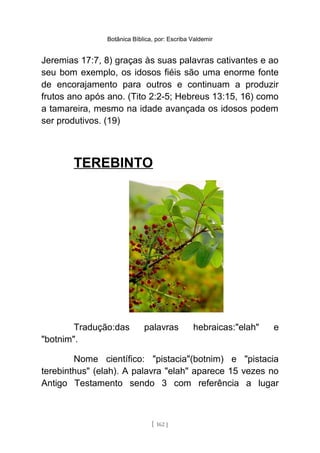 Botânica Bíblica, por: Escriba Valdemir
Jeremias 17:7, 8) graças às suas palavras cativantes e ao
seu bom exemplo, os idosos fiéis são uma enorme fonte
de encorajamento para outros e continuam a produzir
frutos ano após ano. (Tito 2:2-5; Hebreus 13:15, 16) como
a tamareira, mesmo na idade avançada os idosos podem
ser produtivos. (19)
TEREBINTO
Tradução:das palavras hebraicas:"elah" e
"botnim".
Nome científico: "pistacia"(botnim) e "pistacia
terebinthus" (elah). A palavra "elah" aparece 15 vezes no
Antigo Testamento sendo 3 com referência a lugar
[ 162 ]
 