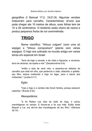 Botânica Bíblica, por: Escriba Valdemir
geográfico (I Samuel 17.2, 19;21.9). Algumas versões
traduziram para carvalho. Características: árvore que
pode chegar ate 10 metros de altura, suas folhas tem de
10 a 20 centímetros. O terebinto exala cheiro de resina e
produz pequenos frutos de cor avermelhada.
TRIGO
Nome científico: "triticus vulgare" (com uma só
espiga) e "triticus compositum" (planta com várias
espigas). O trigo era cultivado no mundo antigo em varias
terras em especial em Israel.
"terra de trigo e cevada, e de vides e figueiras, e romeiras;
terra de oliveiras, de azeite e mel." (Deuteronômio 8.8)
"então o anjo de Javé veio, e assentou-se debaixo do
carvalho que está em ofra, que pertencia a Joás, abiezrita; e gideão,
seu filho, estava malhando o trigo no lagar, para o salvar dos
midianitas." (Juízes 6.11)
Egito:
"mas o trigo e o centeio não foram feridos, porque estavam
cobertos." (Êxodo 9.32)
Mesopotâmia:
"e foi Rúben nos dias da ceifa do trigo, e achou
mandrágoras no campo. E trouxe-as a lia sua mãe. Então disse
Raquel a Lia: ora dá-me das mandrágoras de teu filho." (Gênesis
30.14)
[ 163 ]
 