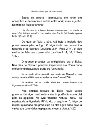 Botânica Bíblica, por: Escriba Valdemir
Época da cultura - plantava-se em Israel em
novembro e dezembro e colhia entre abril, maio e junho.
Do trigo se fazia a farinha:
"e pão ázimo, e bolos ázimos, amassados com azeite, e
coscorões ázimos, untados com azeite; com flor de farinha de trigo os
farás," (Êxodo 29.2)
Da qual se fazia o pão. Até hoje a maioria dos
povos fazem pão do trigo. O trigo ainda era consumido
torrando-o as espigas (Levíticos 2.14, Rute 2.14), o trigo
moído também era consumido (Levítico 2.14, 16; II Reis
4.42).
O grande produtor da antiguidade era o Egito.
Nos dias de Cristo o principal importador era Roma onde
o trigo embarcava pelo porto de Alexandria:
"e, achando ali o centurião um navio de Alexandria, que
navegava para a Itália, nos fez embarcar nele." (Atos 27.6)
"e, refeitos com a comida, aliviaram o navio, lançando o
trigo ao mar. (Atos 27.38)
Nos antigos relevos do Egito havia várias
gravuras do trigo mostrando a sua importância comercial
para os egípcios. No livro “Historia Natural” 18.97, do
escritor da antiguidade Plínio diz o seguinte: "o trigo de
melhor qualidade era produzido no alto Egito onde dava a
variedade com várias espigas na mesma planta." (20)
[ 164 ]
 