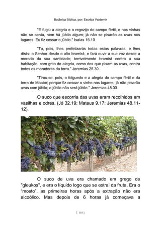 Botânica Bíblica, por: Escriba Valdemir
"E fugiu a alegria e o regozijo do campo fértil, e nas vinhas
não se canta, nem há júbilo algum; já não se pisarão as uvas nos
lagares. Eu fiz cessar o júbilo." Isaías 16.10
"Tu, pois, lhes profetizarás todas estas palavras, e lhes
dirás: o Senhor desde o alto bramirá, e fará ouvir a sua voz desde a
morada da sua santidade; terrivelmente bramirá contra a sua
habitação, com grito de alegria, como dos que pisam as uvas, contra
todos os moradores da terra." Jeremias 25.30
"Tirou-se, pois, o folguedo e a alegria do campo fértil e da
terra de Moabe; porque fiz cessar o vinho nos lagares; já não pisarão
uvas com júbilo; o júbilo não será júbilo." Jeremias 48.33
O suco que escorria das uvas eram recolhidos em
vasilhas e odres. (Jó 32.19; Mateus 9.17; Jeremias 48.11-
12).
O suco de uva era chamado em grego de
"gleukos", e era o líquido logo que se extrai da fruta. Era o
“mosto”, as primeiras horas após a extração não era
alcoólico. Mas depois de 6 horas já começava a
[ 168 ]
 