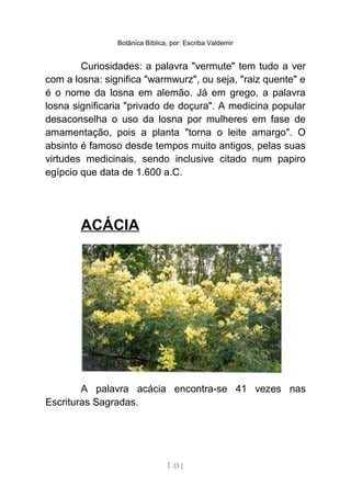Botânica Bíblica, por: Escriba Valdemir
Curiosidades: a palavra "vermute" tem tudo a ver
com a losna: significa "warmwurz", ou seja, "raiz quente" e
é o nome da losna em alemão. Já em grego, a palavra
losna significaria "privado de doçura". A medicina popular
desaconselha o uso da losna por mulheres em fase de
amamentação, pois a planta "torna o leite amargo". O
absinto é famoso desde tempos muito antigos, pelas suas
virtudes medicinais, sendo inclusive citado num papiro
egípcio que data de 1.600 a.C.
ACÁCIA
A palavra acácia encontra-se 41 vezes nas
Escrituras Sagradas.
[ 23 ]
 