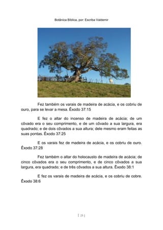 Botânica Bíblica, por: Escriba Valdemir
Fez também os varais de madeira de acácia, e os cobriu de
ouro, para se levar a mesa. Êxodo 37:15
E fez o altar do incenso de madeira de acácia; de um
côvado era o seu comprimento, e de um côvado a sua largura, era
quadrado; e de dois côvados a sua altura; dele mesmo eram feitas as
suas pontas. Êxodo 37:25
E os varais fez de madeira de acácia, e os cobriu de ouro.
Êxodo 37:28
Fez também o altar do holocausto de madeira de acácia; de
cinco côvados era o seu comprimento, e de cinco côvados a sua
largura, era quadrado; e de três côvados a sua altura. Êxodo 38:1
E fez os varais de madeira de acácia, e os cobriu de cobre.
Êxodo 38:6
[ 25 ]
 